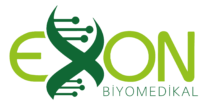 EXON BİYOMEDİKAL